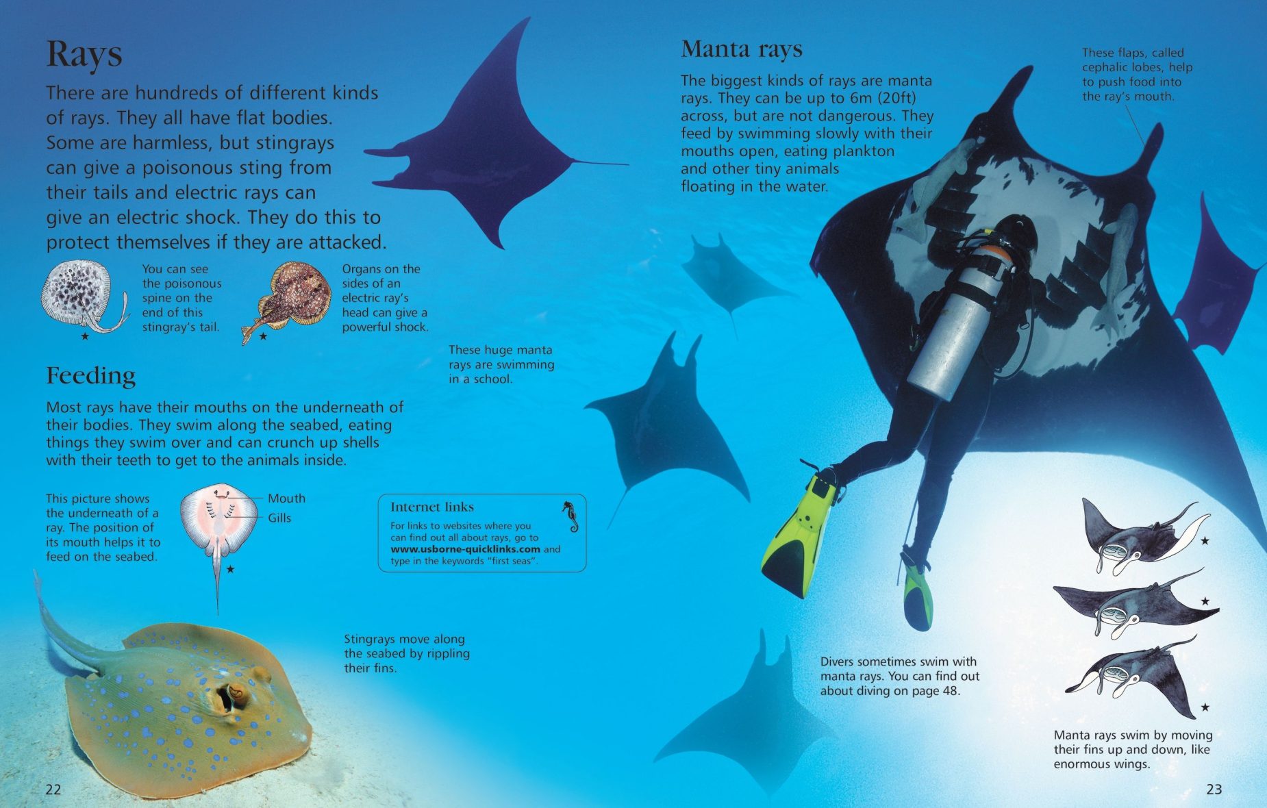 usborne-first-encyclopedia-of-seas-and-oceans-4