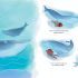 Sing Like a Whale: Learn how to make a noise like the animals do!
(Paperback) Sing Like a Whale: Learn how to make a noise like the animals do!
(Paperback)