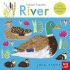 Animal Families: River (Lift-the-flap Board Book)