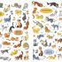 Our Animal Friends (Look & Find) - Hardcover Our Animal Friends (Look & Find) - Hardcover