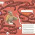 Mystery at the Museum: Explore the Museum and Solve the Puzzles to Save the Exhibition! (Hardcover) Mystery at the Museum: Explore the Museum and Solve the Puzzles to Save the Exhibition! (Hardcover)