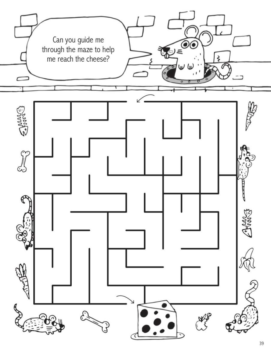 the-picture-puzzle-activity-book-4