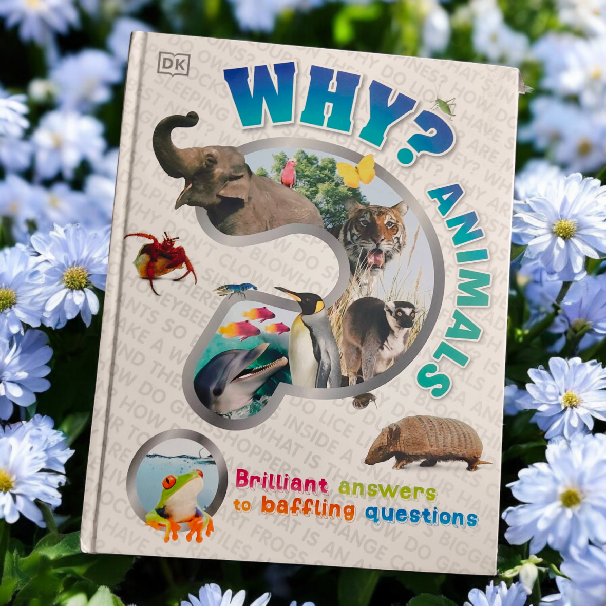DK: Why? Earth – Brilliant Answers to Baffling Questions (Hardcover)
