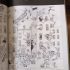 Terry Denton's Bumper Book of the Universe (Mazes, puzzles, codes, drawings, quizzes and lots of cool stuff) Terry Denton's Bumper Book of the Universe (Mazes, puzzles, codes, drawings, quizzes and lots of cool stuff)