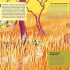 Colorful Kingdom: How Animals Use Color to Surprise and Survive hardcover Colorful Kingdom: How Animals Use Color to Surprise and Survive hardcover