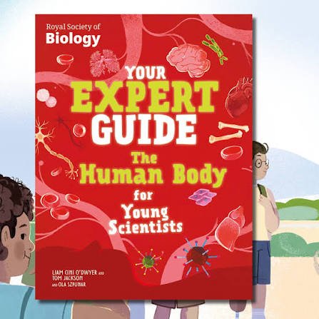 Your Expert Guide: The Human Body for young Scientists - Paperback Your Expert Guide: The Human Body for young Scientists – Paperback