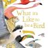 What it's Like to be a Bird - Hardcover What it's Like to be a Bird - Hardcover