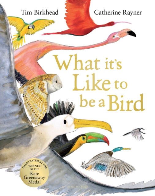 What it's Like to be a Bird - Hardcover What it’s Like to be a Bird – Hardcover