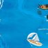 Voice of the Sea - Picture Book Voice of the Sea - Picture Book