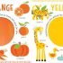 My First Book Of Colours (Board Book)