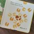 Who Am I? Wild Animals (Touch and Feel Book)