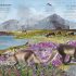 Cover Damaged - Through the Animal Kingdom: Discover Amazing Animals and Their Remarkable Homes Cover Damaged - Through the Animal Kingdom: Discover Amazing Animals and Their Remarkable Homes