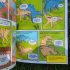 It's Tough To be T. Rex (And other Dinosaurs) - How Animals Adapt to survive - Paperback It's Tough To be T. Rex (And other Dinosaurs) - How Animals Adapt to survive - Paperback