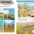 A Comic Strip History of Evolution: From Hot Rocks to Humans (A Comic Strip History of Planet Earth)
