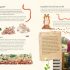 The No-Dig Children's Gardening Book: Easy and Fun Family Gardening (Hardcover) The No-Dig Children's Gardening Book: Easy and Fun Family Gardening (Hardcover)