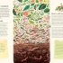The No-Dig Children's Gardening Book: Easy and Fun Family Gardening (Hardcover) The No-Dig Children's Gardening Book: Easy and Fun Family Gardening (Hardcover)