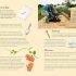 The No-Dig Children's Gardening Book: Easy and Fun Family Gardening (Hardcover) The No-Dig Children's Gardening Book: Easy and Fun Family Gardening (Hardcover)