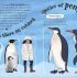 Ask a Scientist – Includes Amazing question- Answer Ask a Scientist – Includes Amazing question- Answer