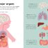 Wise About My Body: An introduction to the human body Wise About My Body: An introduction to the human body